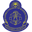 Sri Lanka College of Radiologists logo